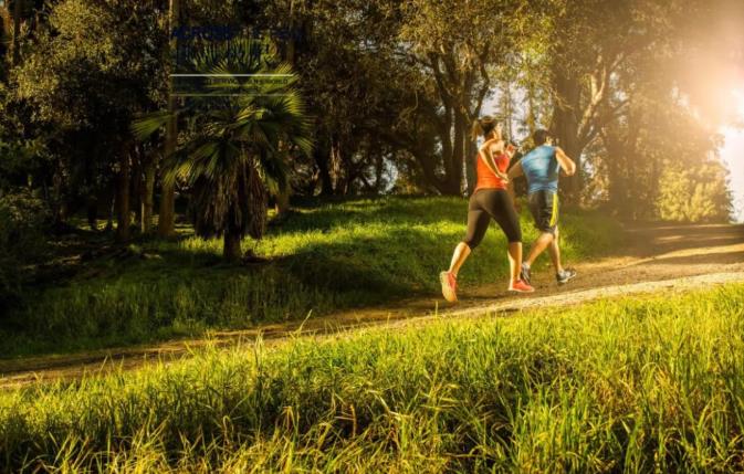 �����|������һ�򲽣������������������������������������