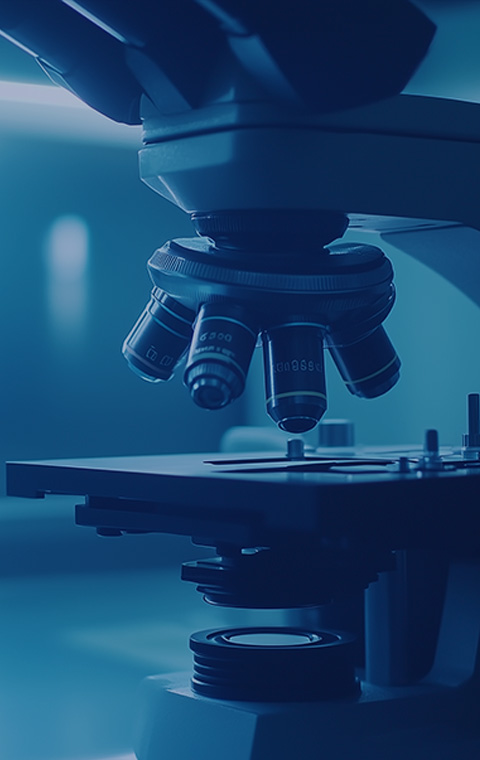 ÁÙ´²Ç°Ñо¿·þÎñ