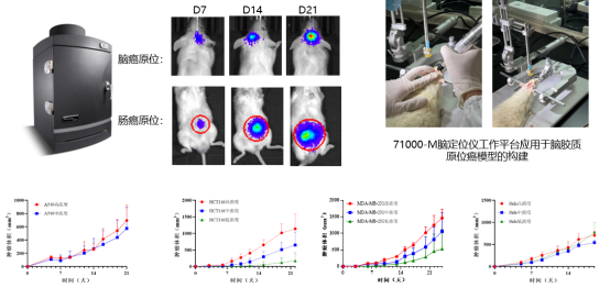 97����-����Ʒ��,Դ������