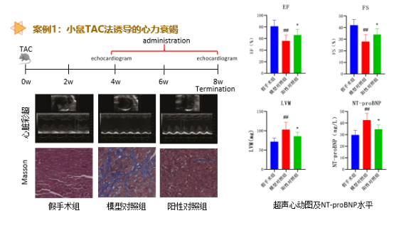 97����-����Ʒ��,Դ������