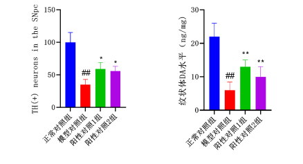 97����-����Ʒ��,Դ������