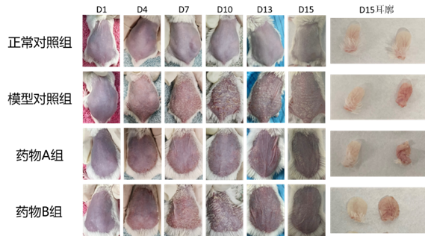 97����-����Ʒ��,Դ������